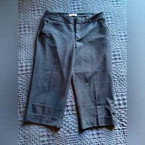 Christopher & Banks Cropped pants 10 navy